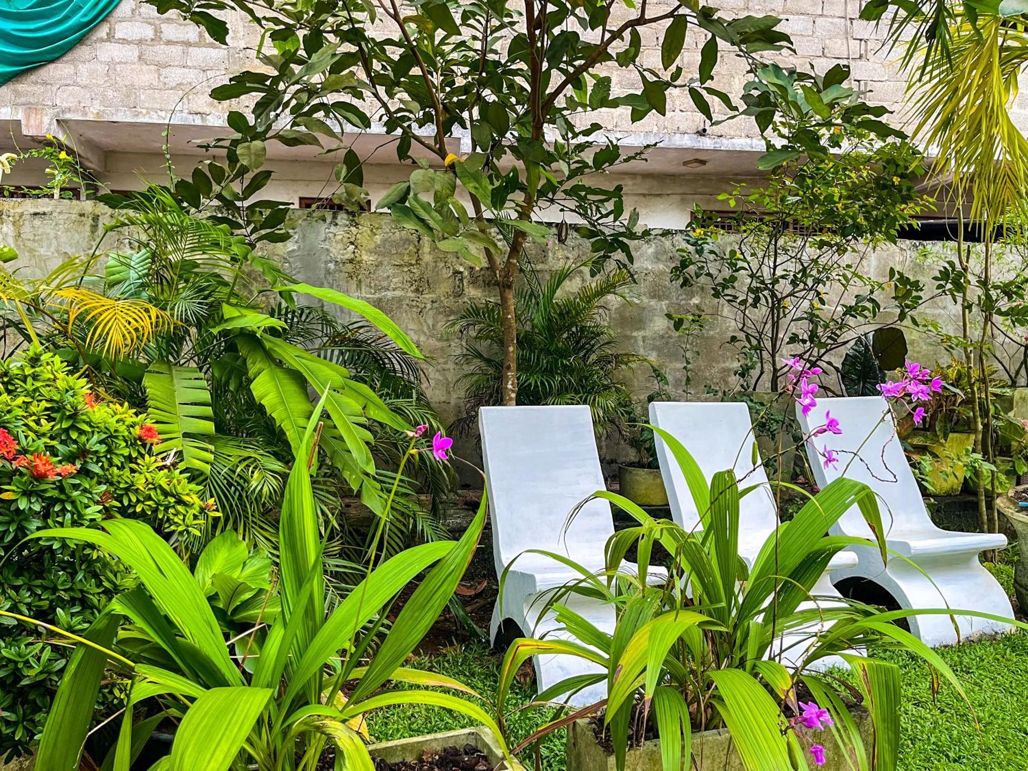 Galle Camellia Екстериор снимка